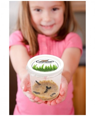 Live Butterfly Growing Kit: Shipped with 10 Live Caterpillars Now Pop-Up Cage Book and Stickers Bundle $78.42 - Habitat Scien...