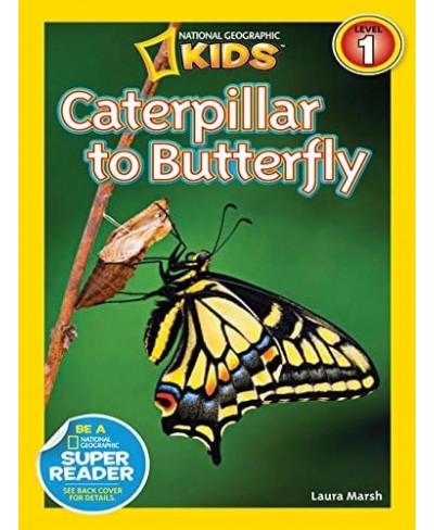 Live Butterfly Growing Kit: Shipped with 10 Live Caterpillars Now Pop-Up Cage Book and Stickers Bundle $78.42 - Habitat Scien...