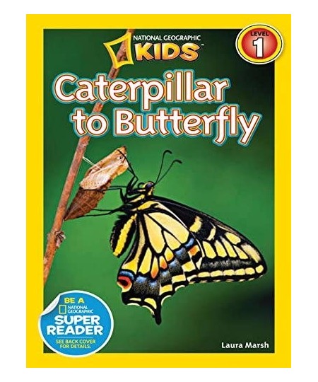 Live Butterfly Growing Kit: Shipped with 10 Live Caterpillars Now Pop-Up Cage Book and Stickers Bundle $78.42 - Habitat Scien...