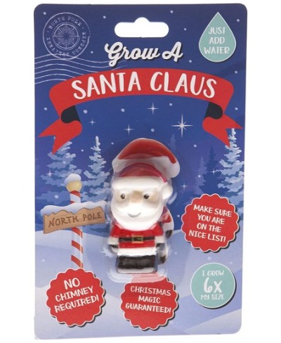 Grow a Christmas Santa Toy | Just Add Water | Great Fun for Children | Perfect Kids Stocking Stuffer $16.98 - Miniature Novel...