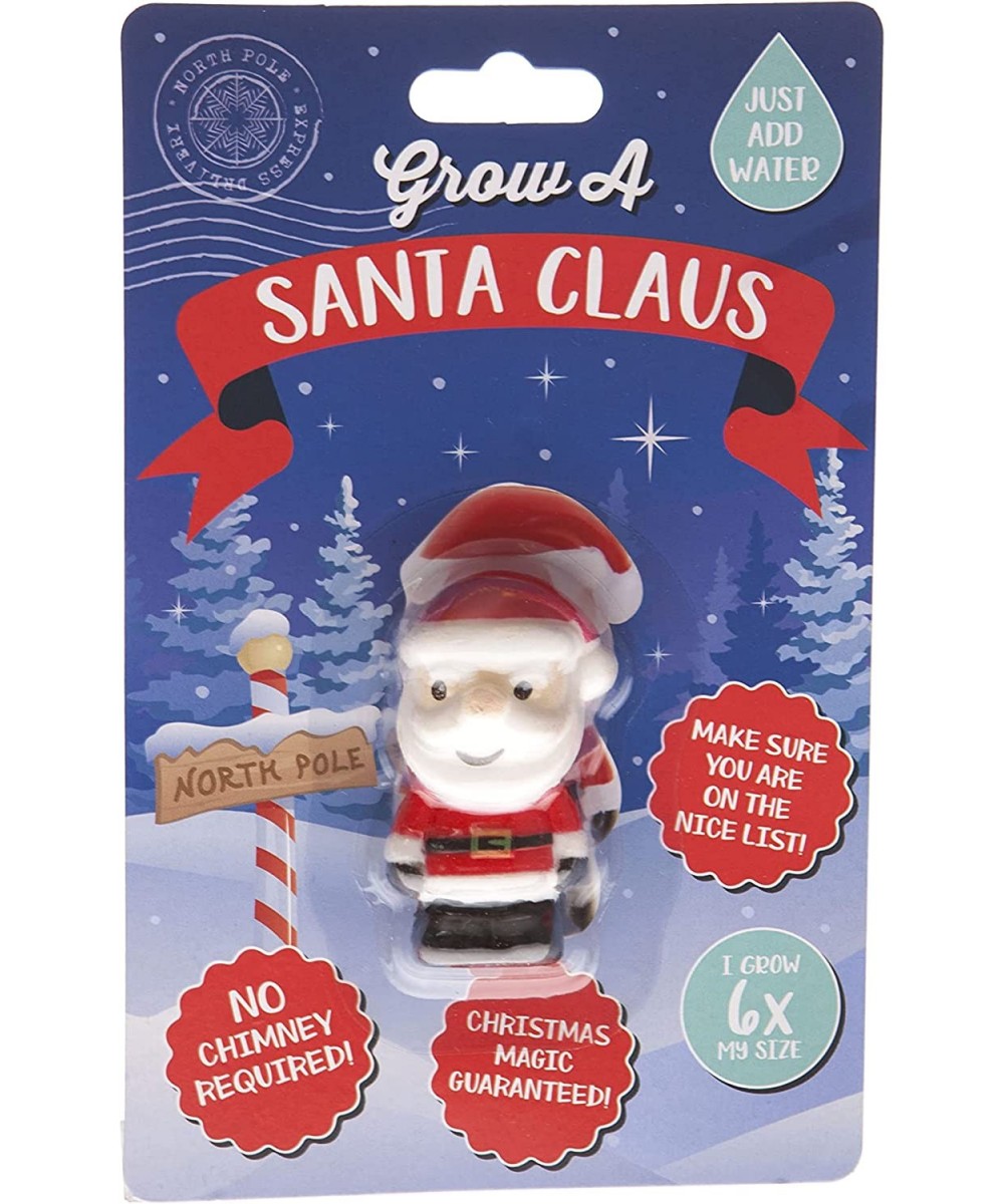 Grow a Christmas Santa Toy | Just Add Water | Great Fun for Children | Perfect Kids Stocking Stuffer $16.98 - Miniature Novel...