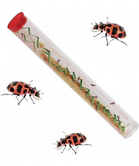 Live Ladybug Growing Kit Toy $63.57 - Educational Science Kits