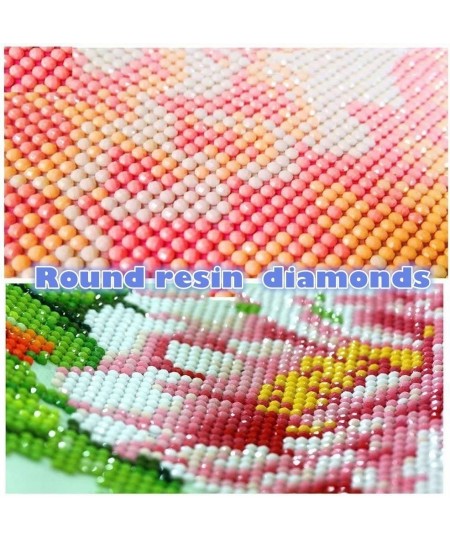 5D Diamond Painting by Number Kits New DIY Diamond Painting Kit for Adults Cross Stitch Full Toolkit Embroidery Arts Craft Pi...