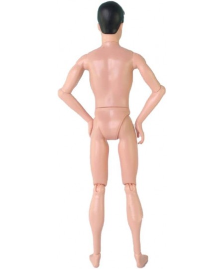 14 Moveable Jointed Doll Male Nude Doll Naked Body Move Doll Toys for Girl $25.81 - Dolls