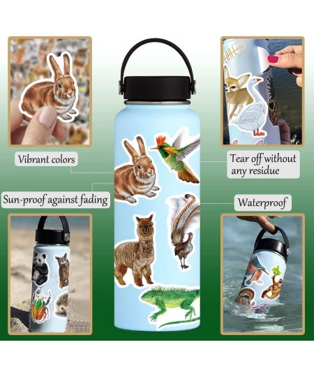 160 Pcs Funny Rainforest Animal Vinyl Stickers for Kids Teachers Students Zoo Animal Waterproof Water Bottle Stickers for Lap...