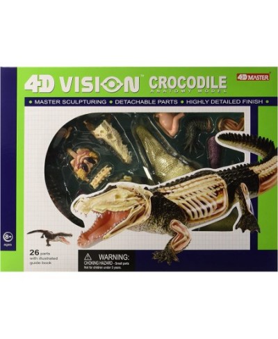 Famemaster 4D Vision Crocodile Anatomy Model $45.92 - Educational Science Kits