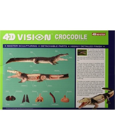 Famemaster 4D Vision Crocodile Anatomy Model $45.92 - Educational Science Kits