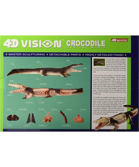 Famemaster 4D Vision Crocodile Anatomy Model $45.92 - Educational Science Kits