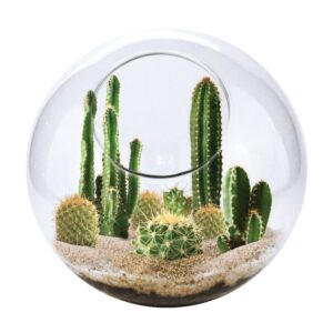 Unique Gardener Mini Desert Glass Terrarium Kit - Wild West Cactus Edition