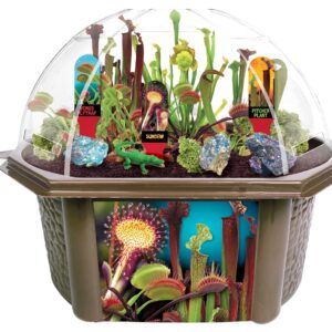 Unique Gardener Biosphere Terrarium Kit - Culinary Herb Collection