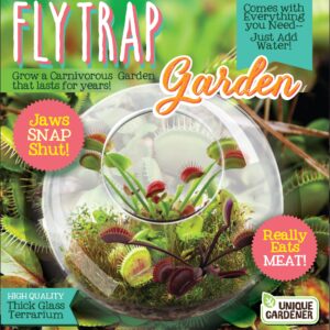 Unique Gardener Carnivorous Fly Trap Glass Terrarium Kit